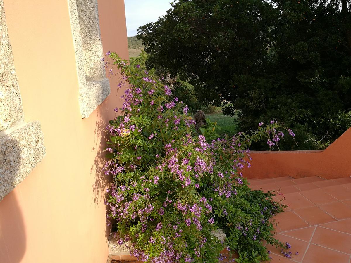 Country House Vignola Mare Aglientu Exterior photo